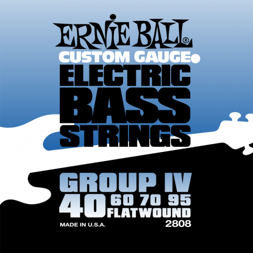 ERNIE BALL P02808