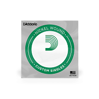 D`ADDARIO PNG041