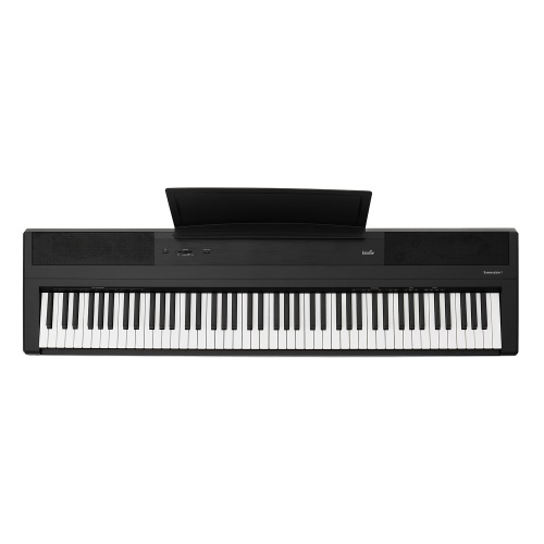 Emotive Hammerpiano 1 BK фото 3